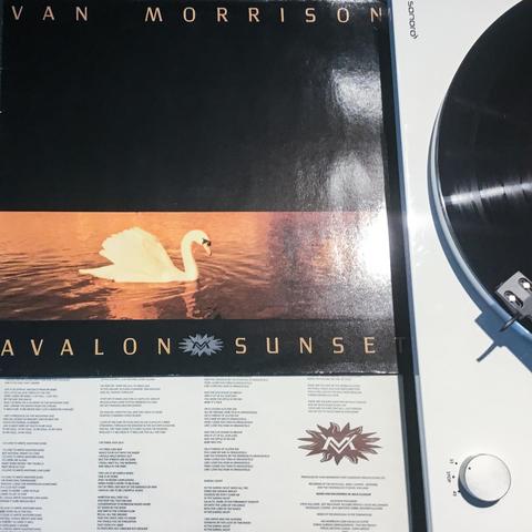 Van Morrison / Avalon Sunset (1989)
