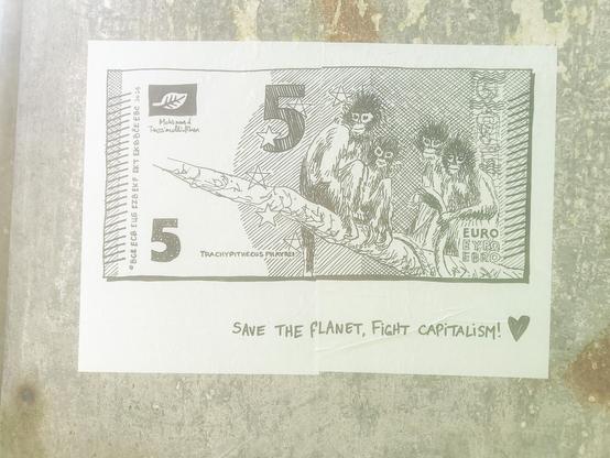 5€, singes