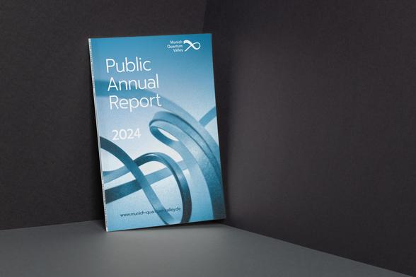 Graphic of the Public Annual Report 2024.