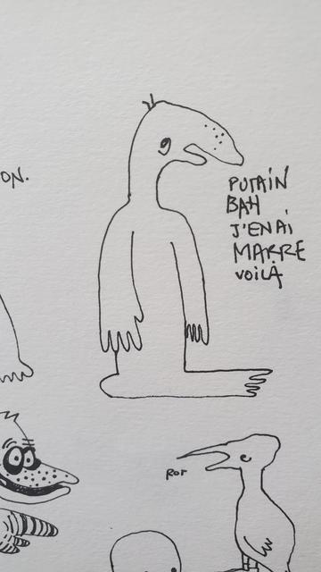 Zoom sur l'oiseau laid qui en a marre
