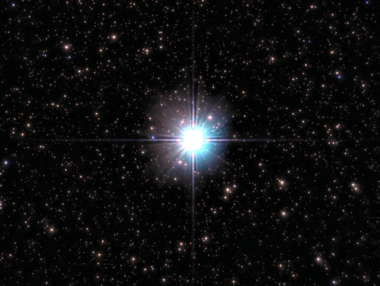 The Star Altair as seen by the Odyssey Pro 