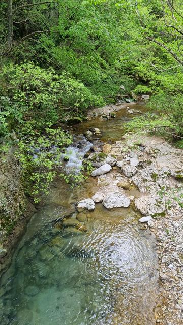 English A blue water river in the forest
Français Une rivière aux eaux bleues en forêt