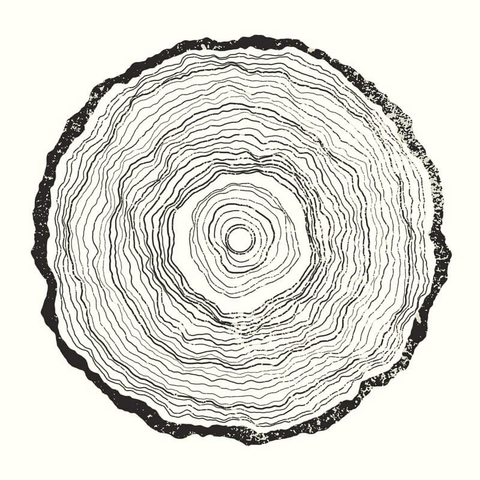 Genrative Art of annual rings by Ahmad Moussa