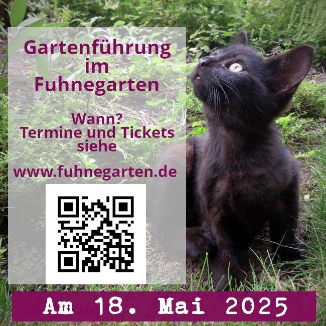 Gartenführung in unserem Garten!