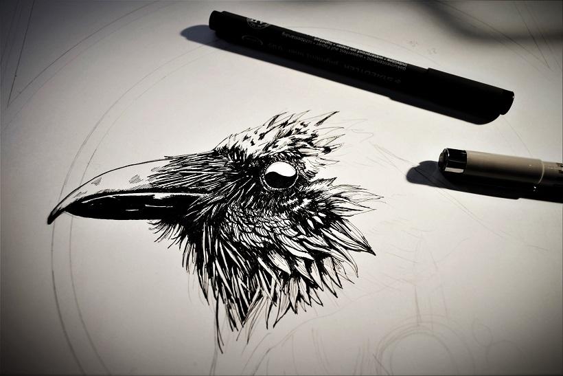 Dessin en cours d'un profil de corbeau