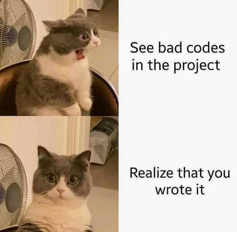 See bad codes in the project
Realize that you wrote it
-

