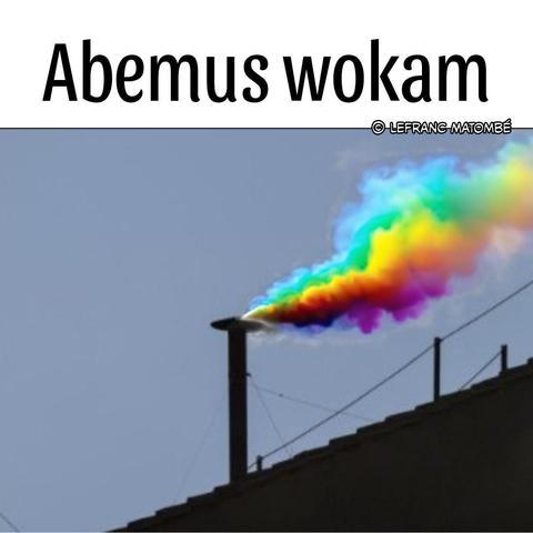 Une photo satirique montre la célèbre cheminée du Vatican, d’où s’échappe traditionnellement la fumée blanche ou noire lors de l’élection d’un nouveau pape. Ici, la fumée est remplacée par un nuage arc-en-ciel éclatant, symbole des luttes LGBTQIA+ et du mouvement "woke". En haut de l’image, on lit en lettres noires : « Abemus wokam », parodie du célèbre « Habemus papam ». Le visuel est signé « © Lefranc Matombé ».
