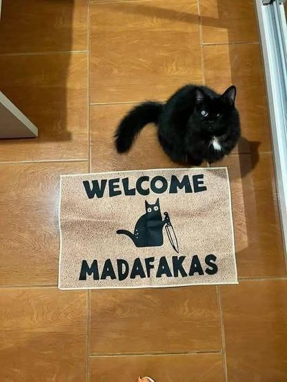 Wipe your paws, madafakas. 😼 #leoxiv