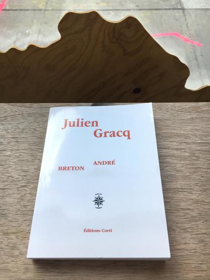 A white book cover against wood grain and concrete.