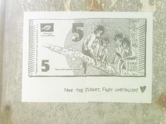 5€, singes