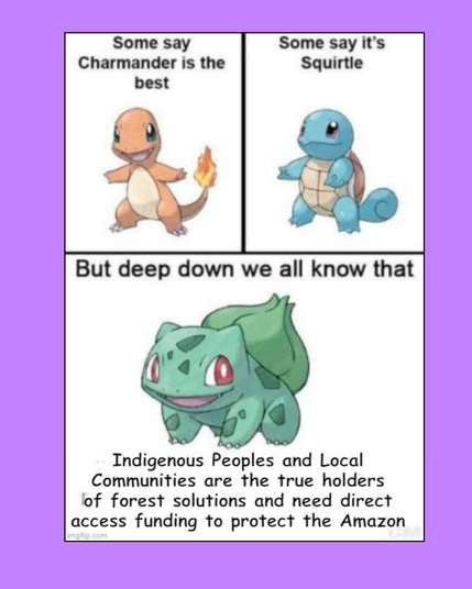 Pokemon Bulbasaur meme. Caption: deep down we all know that Indigenous Peoples and Local Communities are the true holders of forest solutions and need direct access funding to protect the Amazon. 
