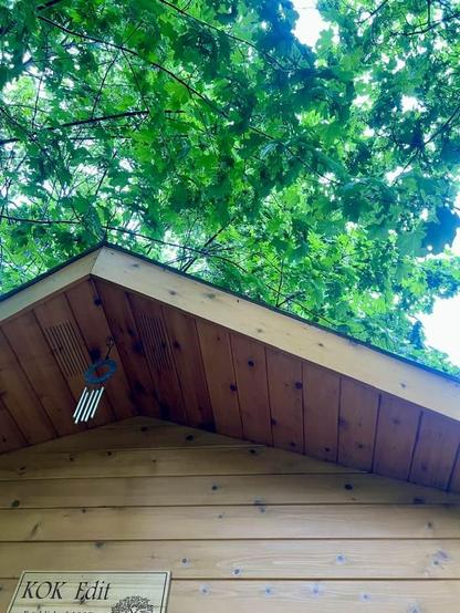 A look up toward the sky shows the front gable of a small cedar-covered office, some small windchimes, and a sign that reads "KOK Edit," with the natural umbrella of a maple tree above the building.