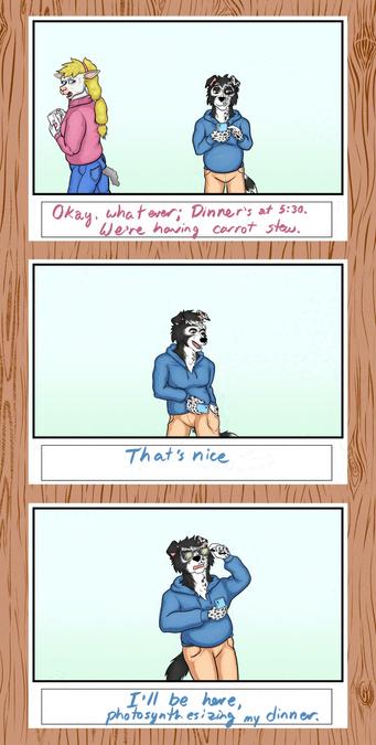 Three storyboard panels superimposed over a woodgrain pattern.  Image 5 of 7.

The anthropomorphic ewe turns away from the anthropomorphic border collie and says, "Okay, whatever.  Dinner's at five-thirty.  We're having carrot stew.

The border collie sticks one hand in his pocket and pulls out sunglasses, which he proceeds to put on. "That's nice, he says, I'll be here, photosynthesizing my dinner."
