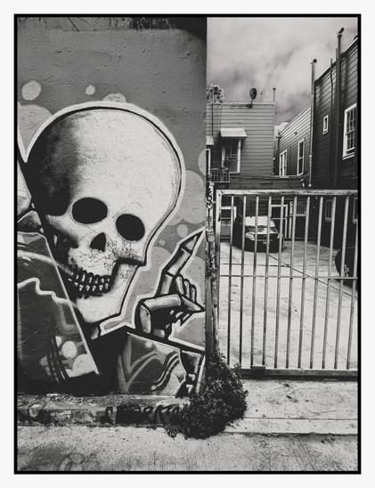 A black and white photo of a street scene featuring a graffiti-style death figure looking directly at us, pointing at a grouping of San Francisco homes behind a metal gate. Dark foreboding clouds loom in the distance over the buildings and the deep grey tones of the image add to the gritty back-alley mood of the image. The mural of the skull and death figure are rendered in a realistic but cartoony style which helps the image from feeling too morose… and perhaps reminds us to enjoy being ‘in the moment’ now, for we never truly know what the future may bring. 💀