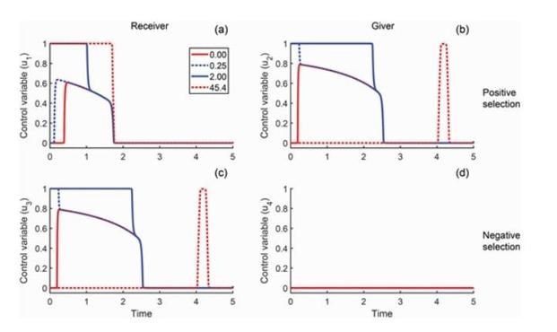 Change in optimal control variables (the fraction of energy allocating to plant vegetative biomass) over time at the individual level for (a) receiver with positive selection, (b) giver with positive selection, (c) receiver with negative selection and (d) giver with negative selection.