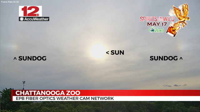 #WDEFWeather #News12Weather - #Sundogs visible on either side of the setting sun on the @ChattanoogaZoo @EPB webcam system. 

https://www.wdef.com/weather-cam-network/ 