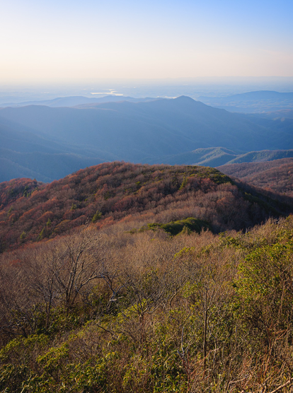 A hillside covered in spring blooming trees with a backdrop of distant Appalachian mountains as well as the flat plains of East Tennessee