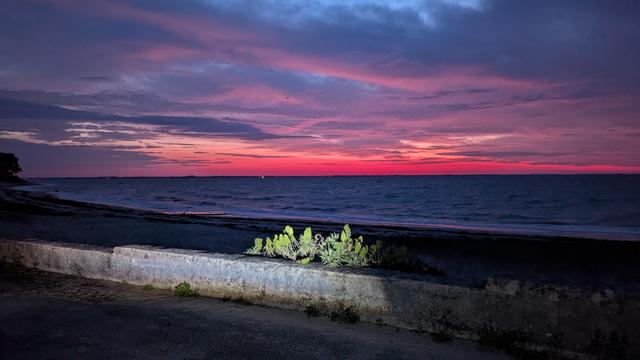 Bande rouge à l'horizon sur une mer bleu sombre. Muret et plante éclairée au premier plan par les phares d'un véhicule.
