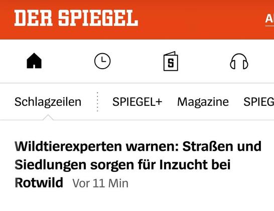 Screenshot einer Überschrift von Spiegel online:
Wildtierexperten warnen: Straßen und Siedlungen sorgen für Inzucht bei Rotwild.
