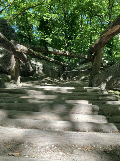 Wooden trackway photographed in Münster
