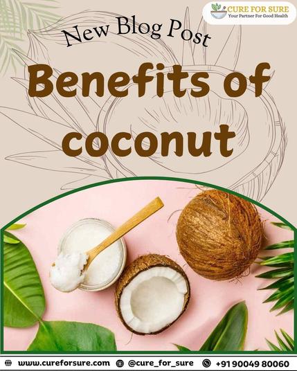 🌴 Coconut: Nature’s Miracle Superfood! 🥥✨


📌 Shop natural coconut products now! 🔗 cureforsure.com

📲 Join us on WhatsApp: https://shorturl.at/fCb5x
📸 Follow for more: @cure_for_sure
📖 Read More: https://cureforsure.com/blog/2021/06/28/benefits-of-coconut-2/
