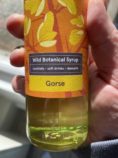 A bottle of syrup made from gorse flowers. The label says: wild botanical syrup / cocktails, soft drinks, deserts / gorse