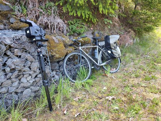 My bicycle and my camera on a tripod both leaning against some rocks on a hillside. There are some evergreen trees just behind the bicycle. It's a wonderful warm sunny day.