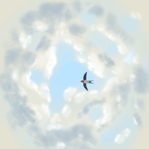 The painting of the cloudy sky with a welcome swallow flying right to left in the middle. A lot of the darker areas that give a sense of volume to the clouds are lost in the 3D render and easier to appreciate here.