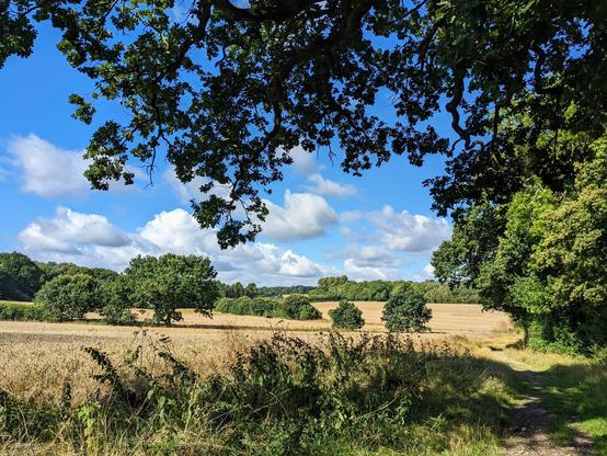 300 FREE walks in the Hertfordshire countryside. Go to Hertfordshire Walker