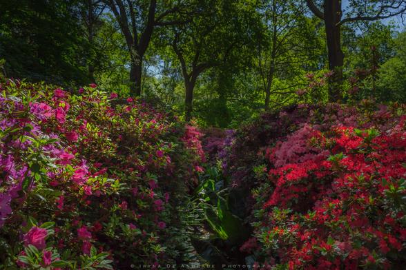 Stunning Colours of Spring
