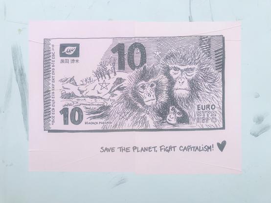 10€, macaques japonais