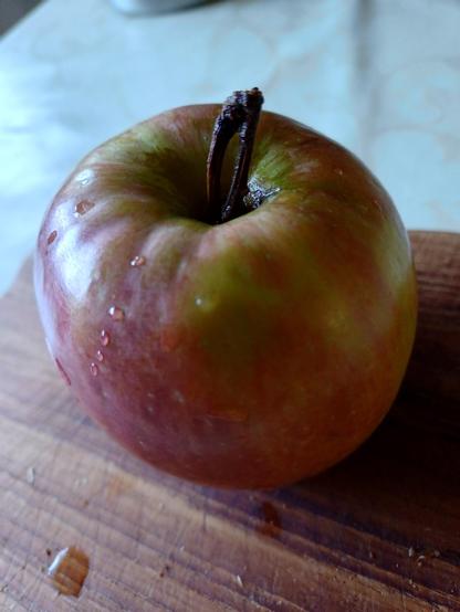 A red apple from Germany with two stems.