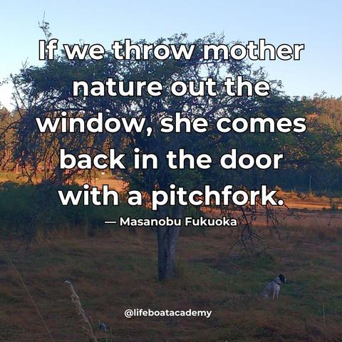 A social post from @lifeboatacademy which says: If we throw mother nature out the window, she comes back in the door with a pitchfork. - Masanobu Fukuoka 