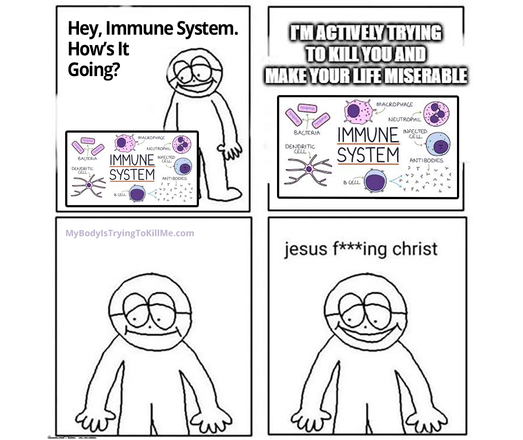 1st panel - guy looking at immune system and saying 'hey, immune system. how's it going?'

2nd panel - immune system - I'm actively trying to kill you and make your life miserable

3rd panel - guy just staring

4th panel - guy says 'jesus f***ing christ'