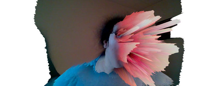 https://mrdoob.com/#/145/webcam_displacement