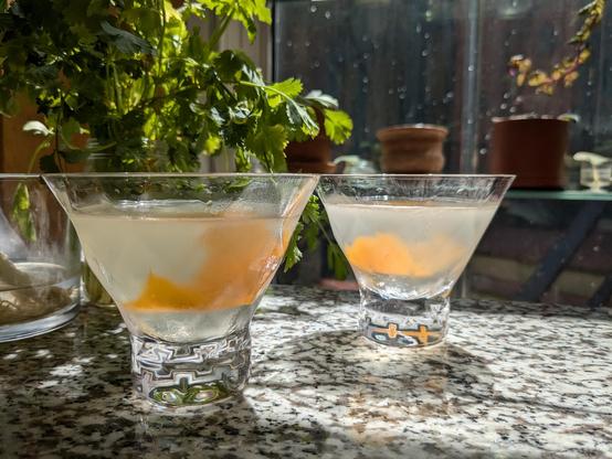 Two cloudy drinks in stemless cocktail glasses. There is an orange twist sunk in each glass. Sun streams in from a window, turning the leaves of a houseplant golden. Some cilantro in a vase looms over the cocktails. 