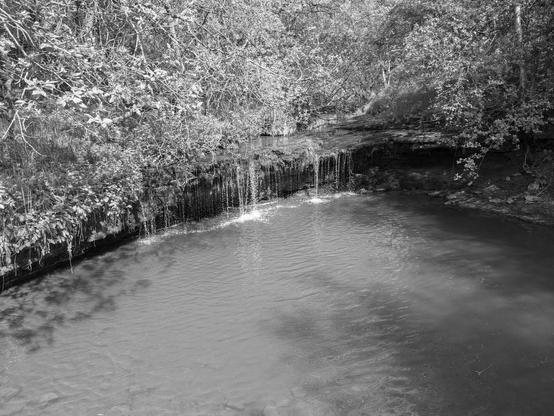 Fiddler's Gill, about 1.6 km. south-east of Carluke, Lanarkshire. The formation of a small waterfall over a hard resistant limestone band. Image has been converted to greyscale.