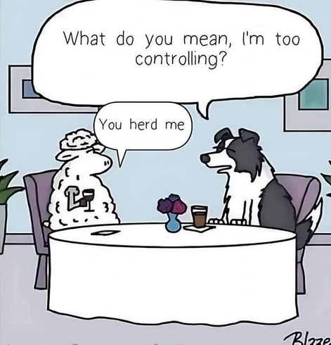 Cartoon of a sheepdog and a sheep eating dinner at a fancy restaurant. The dog says, "What do you mean I'm too controlling?" The sheep replies, "You herd me."