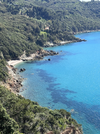 Light blue sea with tree covered coastline and small sandy beaches