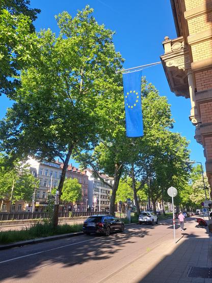 Sunny Road with European Flag. Trees between road and tram.