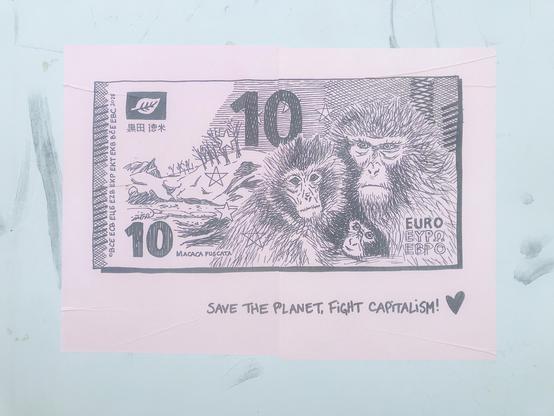 10€, macaques