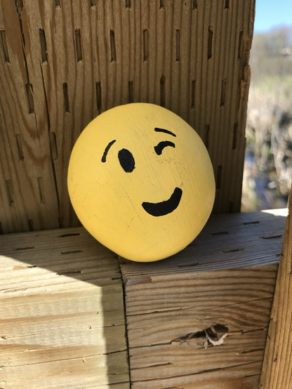 A picture of a painted Roark with a smiley face. 