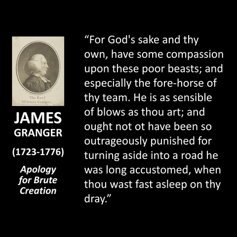 JAMES GRANGER (1723-1776) Apology for Brute Creation "For God's sake and thy own, have some compassion upon these poor beasts; and especially the fore-horse of thy team. He is as sensible of blows as thou art; and ought not ot have been so outrageously punished for turning aside into a road he was long accustomed, when thou wast fast asleep on thy dray."