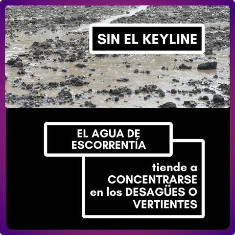¿Te has fijado cómo corre el agua 💦 en tu terreno?