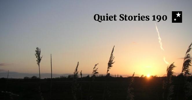 Cover of Quiet Stories 190 — illustrated with a photo  of tall riverside grasses in shadow at sunset.