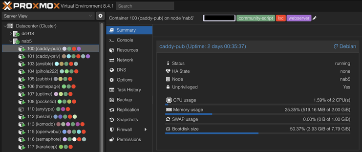 Proxmox admin with my two Caddy instances (LXC Debian)