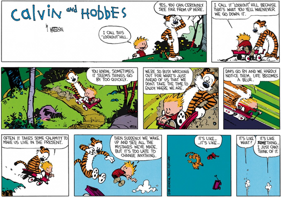 Calvin and Hobbes have hauled their wagon to the top of an enormous hill.

Calvin: "I call this 'Lookout Hill'".

Hobbes: "Yes, you can certainly see far from up here."

Calvin: "I call it 'Lookout Hill' because that's what you yell whenever we go down it."

Calvin and Hobbes climb into the wagon and push off.

Calvin (As the wagon speeds down a hill going faster and faster, the surrounding landscape turning into a blur): "You know, sometimes it seems things go by too quickly. We're so busy watching out for what's just ahead of us that we don't take the time to enjoy where we are. Days go by and we hardly notice them. Life becomes a blur."

The wagon hurtles off a cliff and Calvin says, "Often it takes some calamity to make us live in the present. Then suddenly we wake up and see all the mistakes we've made, but it's too late to change anything. It's like...it's like..."

Hobbes: "It's like what?"

Calvin (as the two plummet to their doom): "It's like *something*...I just can't think of it."