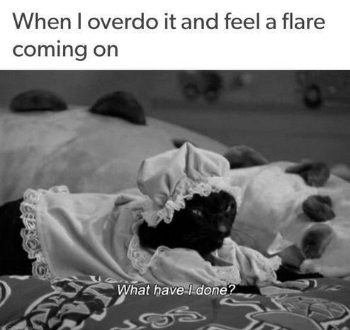 when i overdo it and feel a flare coming on

[black cat in a nightgown and hat 'what have I done']