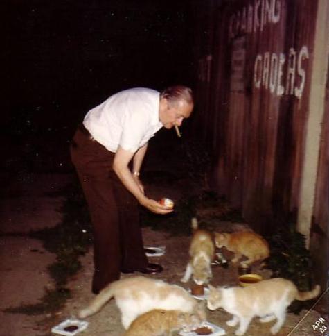 A night-time photo, dated April 1983, of Harold "Hal" Murray Bonnett smoking a cigar and bending to feed five orange and white stray cats in an alley behind Bonnett's Bookstore. Grass and weeds grow in the cracks of the concrete pavement around them. To the right is a dark-colored, crooked, and decaying wall of an old wooden garage with large metal hinges on it's doors. Across the doors is a large message painted in sloppy white lettering, "No Parking - Police Orders," and a small metal No Parking sign. A few of the feeding dishes are repurposed plastic and styrofoam inserts from 8 millimeter film-reel packaging.