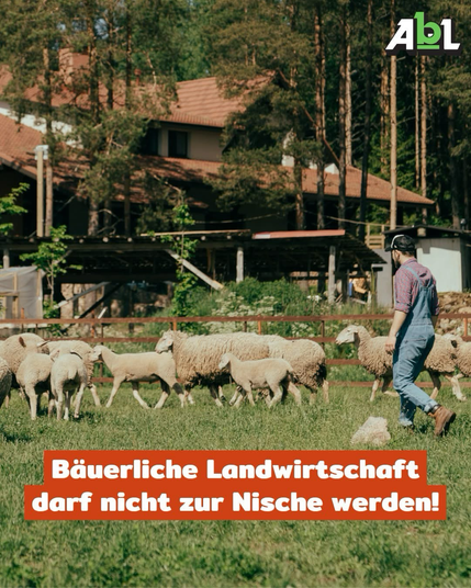 🤯 Wusstest du, dass die Einrichtung eines Arbeitsplatzes in der Landwirtschaft rund 800.000€ kostet? Tendenz steigend, und der Faktor Boden ist noch nicht einmal mit einberechnet.  👩‍🌾 "Gelingt es uns nicht sehr schnell, deutlich mehr junge Menschen dafür zu begeistern und in die Lage zu versetzen, Höfe zu übernehmen, wird es eine eigentümergeführte bäuerliche Landwirtschaft, wie wir sie heute zum Glück noch kennen, zukünftig nur noch als Nische geben"  ➡️ https://www.bauernstimme.de/news/details/baeuerliche-landwirtschaft-darf-nicht-zur-nische-werden 